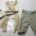 Rey jelmez, Star Wars jelmez N1000